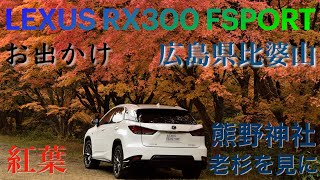 レクサスRX300Fに乗ってお出かけ（紅葉 比婆山 熊野神社老杉）