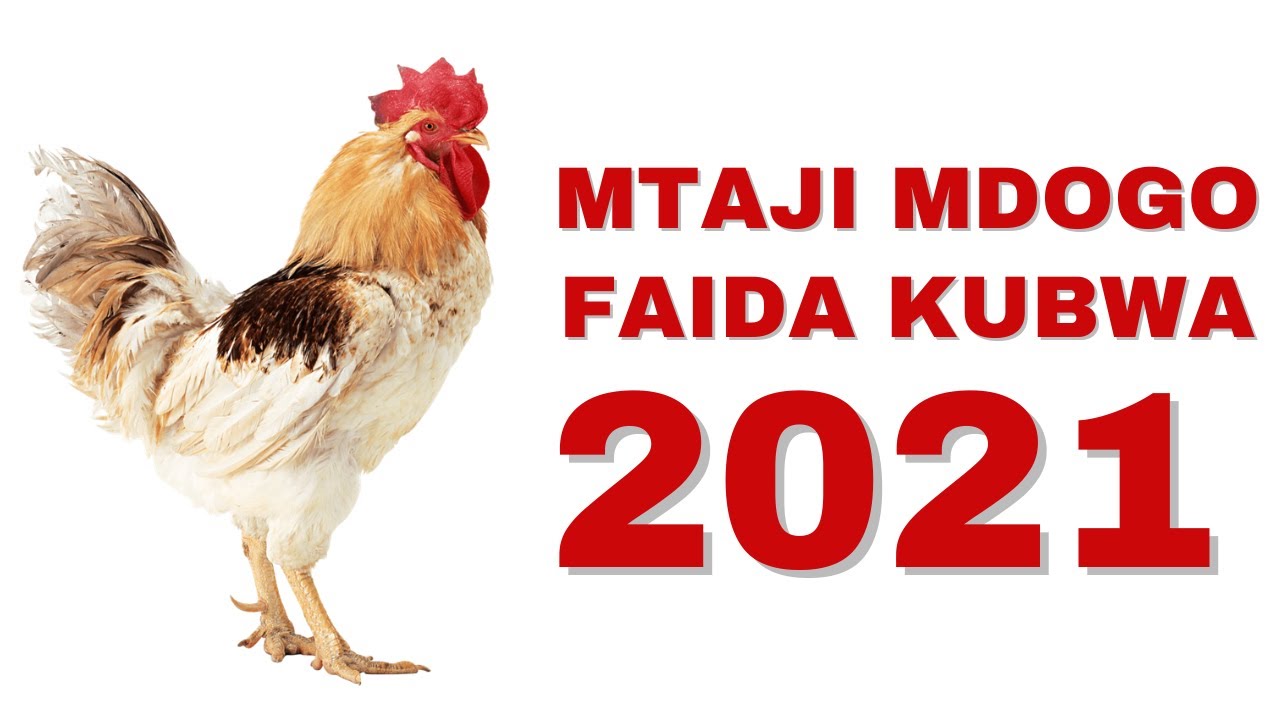 BIASHARA 7 ZA MTAJI MDOGO ZA KUFANYA MWAKA 2021 - YouTube