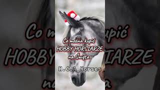 Co można kupić hobby horsiarze na Gwiazdkę? 💫🎄☃️❄️🎅 #hobbyhorsing #hh #fypシ゚ #hobbyhorse #viral #kht