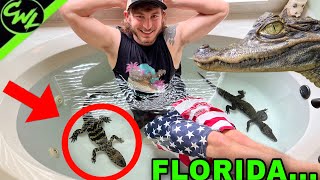 CAIMAN get a BATH!🐊🐊