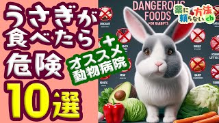 うさぎ🐰が食べたら危険❗️❗️なもの10選、うさぎさん🐇にオススメの動物病院ご紹介動画❗️