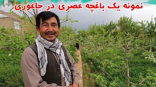 افتخار میکنم که در جاغوری چنین باغچه های مدرن در حال زیاد شدن هست، هر یک تان باید این ویدیو را ببنید