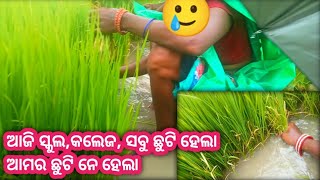 ଆଜି ସ୍କୁଲ,କଲେଜ ସବୁ ଛୁଟି ହେଲା ଆମର ଛୁଟି ନେ ହେଲା 🥲Komal Sambalpuri Vlog