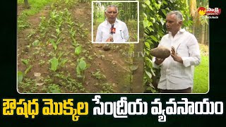 Eluru Farmer Get Huge Profits On Natural Farming | Organic Method Farming |@SakshiTVSagubadi