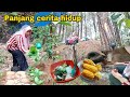 VIDEO FULL Perjuangan Hidup berkebun sendirian