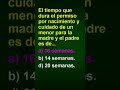 el tiempo que dura el permiso por nacimiento y cuidado de un menor para la madre y el padre es de...