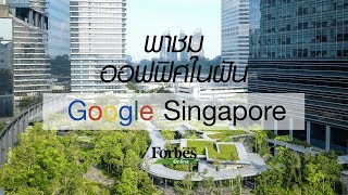 พาชม Google Singapore ออฟฟิศในฝันของคนทำงาน - Forbes Thailand Online