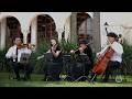 Viva La Vida – Coldplay | String Quartet Cover by Amadeus Music Group