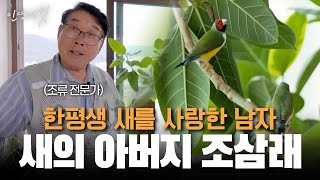 새를 연구하고 교감하는 조류 전문가 조삼래 박사 | 인생내컷 | 24년 08월 25일