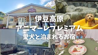 【犬連れ♡伊豆高原・宿泊】アニマーレプレミアムへ✨客室露天風呂が気持ち良かった♨️/宿泊レポート♪