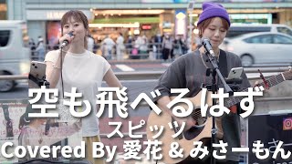 【新宿】空も飛べるはず(スピッツ)/愛花\u0026みさーもん【路上ライブ】