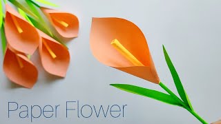 Easy Paper Flower || Paper Tulip Flower || Paper Craft
