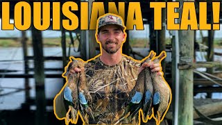 LOUISIANA TEAL HUNT went MUCH BETTER than expected! [ 2021 Teal Duck Hunting ]