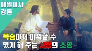 191106 상담소장 박현민 신부 매일미사 강론 : 목숨마저 미워할 수 있게 해 주는 사랑의 소명