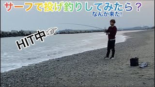 【高知】高知のサーフで投げ釣りしてみたが...???