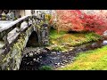 色鮮やかな秋の風景 autumn brightly colored landscape 秋月城跡と眼鏡橋　akizuki castle ruins and megane bridgein