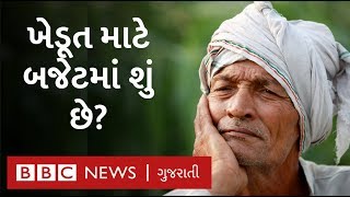 Budget 2020 માં ખેડૂતો માટે ખાસ શું છે?