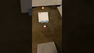 POV ￼ impossible ping-pong trick shot