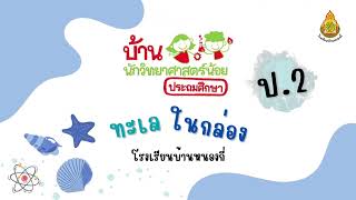 โครงการบ้านนักวิทยาศาสตร์น้อย ชั้นประถมศึกษาปีที่ 2 | กิจกรรม \