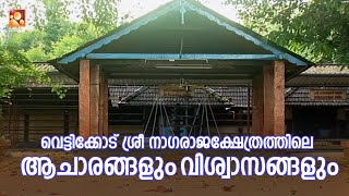 വെട്ടിക്കോട് ശ്രീ നാഗരാജക്ഷേത്രത്തിലെ ആചാരങ്ങളും വിശ്വാസങ്ങളും  | Amritam spiritual #deeparadhana