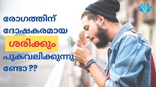 പുകവലി ശരിക്കും അപകടകരമാണോ? | പുകവലി നിങ്ങളുടെ ആരോഗ്യത്തെ ബാധിക്കുന്നു