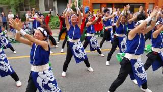 2016年笑舞 ど祭り道徳会場 3