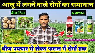 आलू में Early blight और Late blight को कैसे रोके || Bayer infinito | bayer antracol | emesto prime