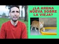 ¿Hay que poner la arena nueva sobre la arena usada del gato?