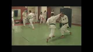 Kimura Shukokai karate:Power, speed \u0026 versatility training. 空手 -demo Oulun Shukokai, Finland.