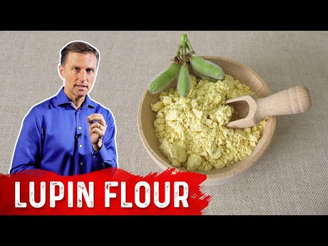 All About Lupine Flour (What is Lupine Flour and Its Benefits) – Chef's Pencil