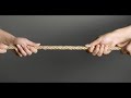The Paradox of Choice: Why More is Less - Part 1
