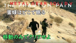 【MGSV:TPP】スティック操作以外を禁止する 蜜蜂はどこで眠る 【メタルギアソリッド5】