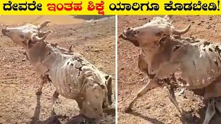 ಇಂತಹ ಶಿಕ್ಷೆ ಯಾರಿಗೂ ಕೊಡಬೇಡಿ|Animals Asked People For Help|Rj Facts In Kannada