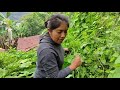 Voy a casa de mi mamá y le preparo un caldito de guía de chayote sin grasa, con tortillas a mano