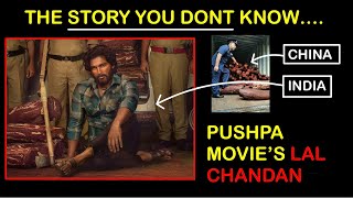 Pushpa Movie’s Lal Chandan INDIA TO CHINA | Lal Chandan Smuggling in Pushpa Movie | PUSHPA THE RISE
