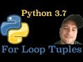 Python 3.7: How To Iterate Through A Tuple In Python