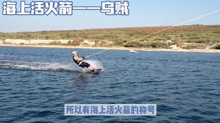 海上活火箭——乌贼 每日一学小知识