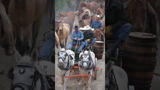 Cooking for Cowboys