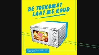 De Wit - De Twijfelaar 45 rpm versie