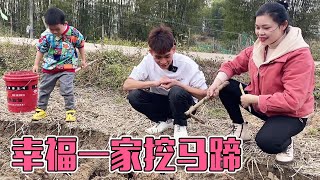 Fengfengbao mother and child are really happy to dig horseshoes