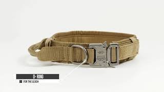 Tactical Dog Collar by Adityna