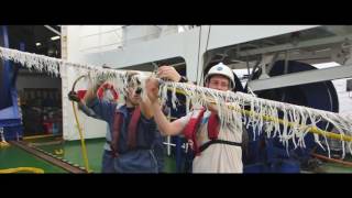 Marine Seismic Surveys and the Environment