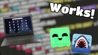 The Best BLOOKET HACK for SCHOOL Computers!