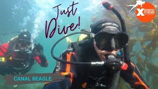 BUCEO con TRAJE SECO 🤿 Mirá el PASO a PASO | Canal Beagle | Ushuaia 🦀 GoPro Argentina 📸