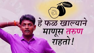 वैज्ञानीकांनी विकसित केलाय काळा पेरू ! कायम तरुण ठेवणार फळ | BLACK GUAVA