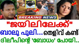 ദിലീപ് ജയിലിലേക്ക് !!! ആ നിർണ്ണായക തെളിവ് കണ്ട് ദിലീപ് ഞെട്ടി !!! ബാലു പുപ്പുലി...വമ്പൻ ട്വിസ്റ്റ് !