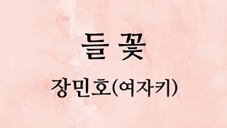 들꽃 (사랑의콜센타-리메이크) - 장민호 (여자키Dm)