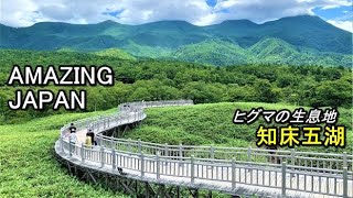 知床五湖高架木道 北海道一周 world Natural Heritage Site Shiretoko Five Lakes  #AmazingJapan #知床五湖 #hokkaido