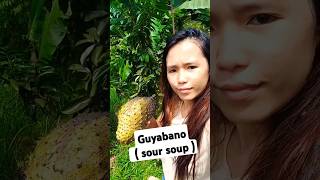 #guyabano #soursoup #harvesting #freshfruit #backyardgardening #fruitoflabor #labana #shorts #fyp