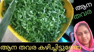 ആനത്തവര കഴിച്ചിട്ടുണ്ടോ..(തവരയില തോരൻ)How to Make thavara thoran.#thavara